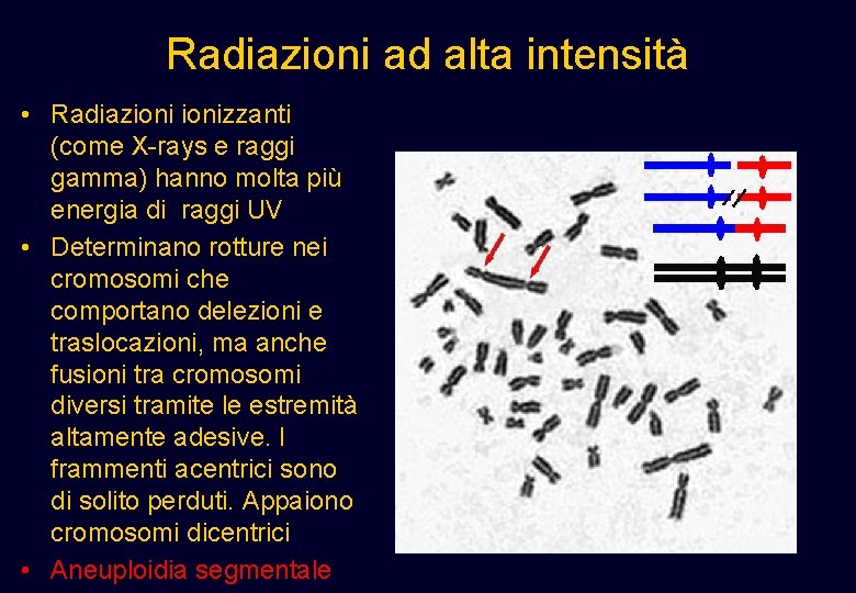 Radiazioni ad alta intensità • Radiazionizzanti (come X-rays e raggi gamma) hanno molta più Radiazioni ad alta intensità • Radiazionizzanti (come X-rays e raggi gamma) hanno molta più