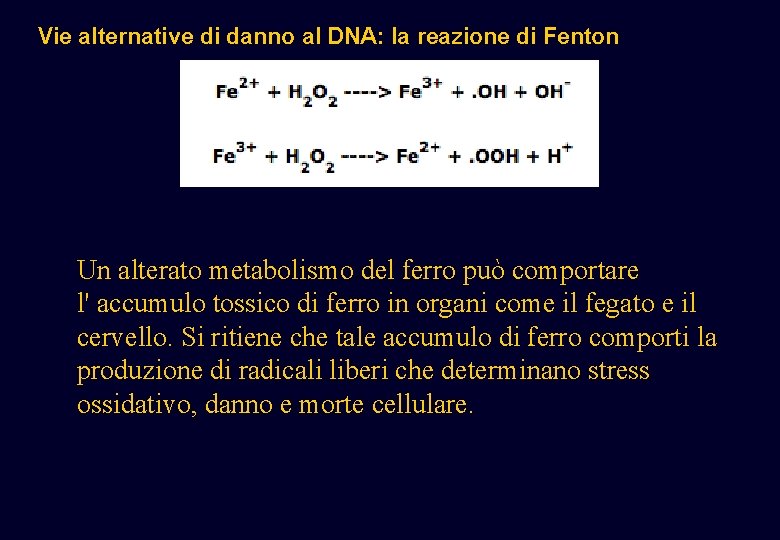 Vie alternative di danno al DNA: la reazione di Fenton Un alterato metabolismo del Vie alternative di danno al DNA: la reazione di Fenton Un alterato metabolismo del