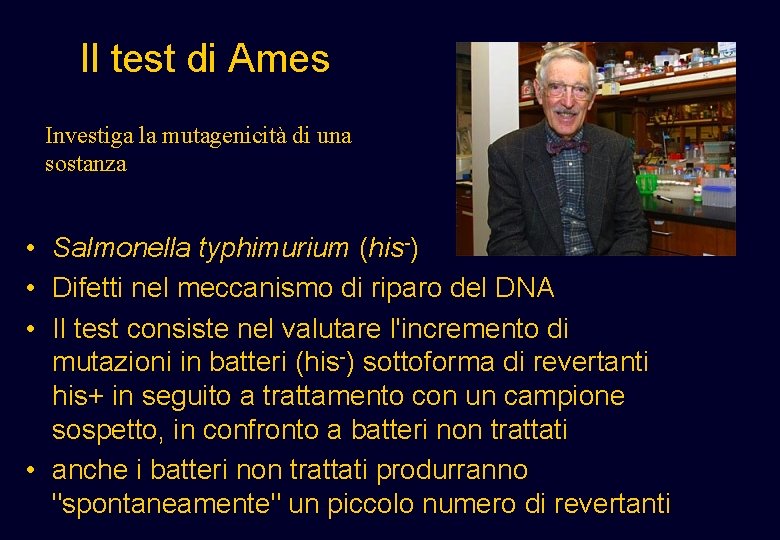 Il test di Ames Investiga la mutagenicità di una sostanza • Salmonella typhimurium (his-) Il test di Ames Investiga la mutagenicità di una sostanza • Salmonella typhimurium (his-)