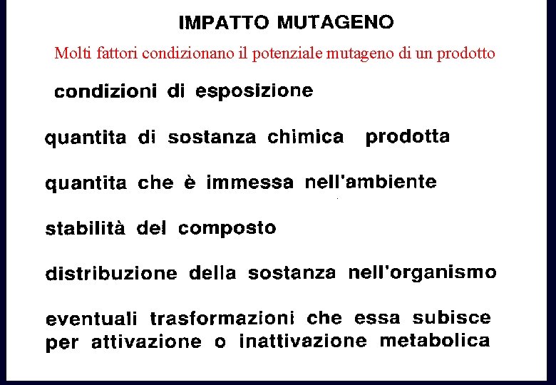 Molti fattori condizionano il potenziale mutageno di un prodotto Molti fattori condizionano il potenziale mutageno di un prodotto