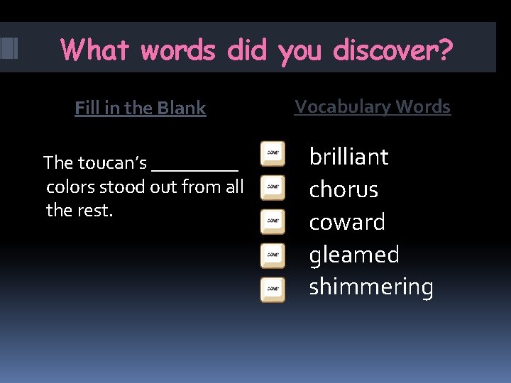 What words did you discover? Vocabulary Words Fill in the Blank The toucan’s _____ What words did you discover? Vocabulary Words Fill in the Blank The toucan’s _____