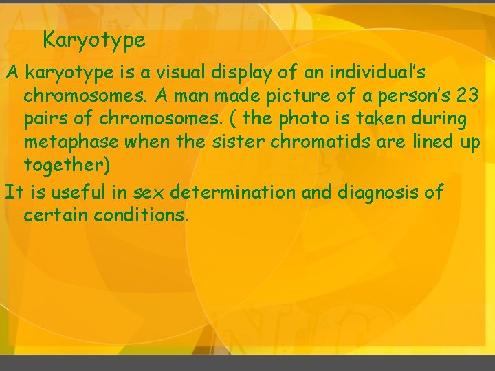 Karyotype A karyotype is a visual display of an individual’s chromosomes. A man made