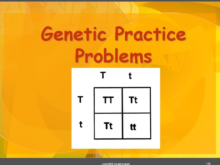 Genetic Practice Problems copyright cmassengale 110 