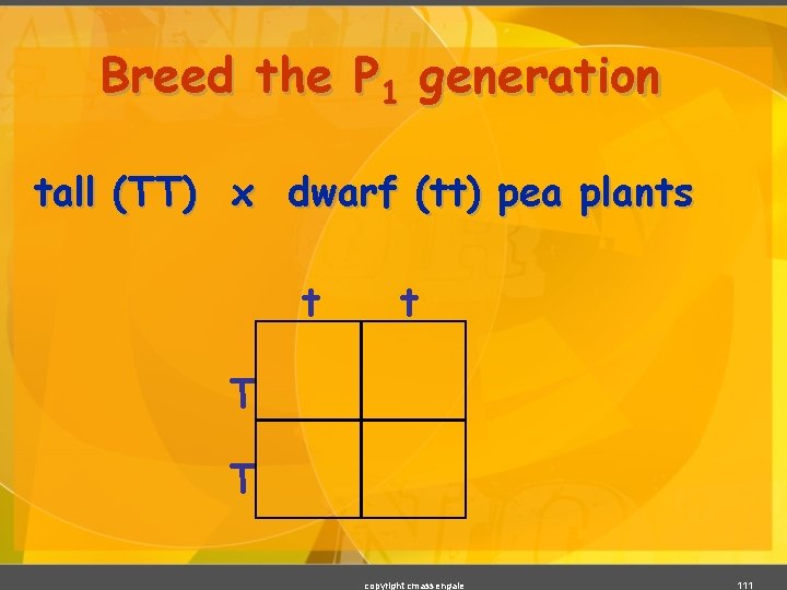 Breed the P 1 generation tall (TT) x dwarf (tt) pea plants t t