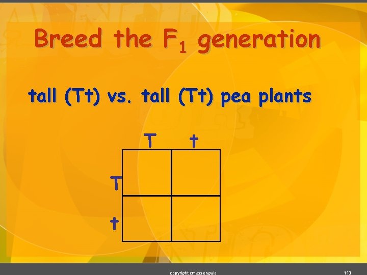 Breed the F 1 generation tall (Tt) vs. tall (Tt) pea plants T t