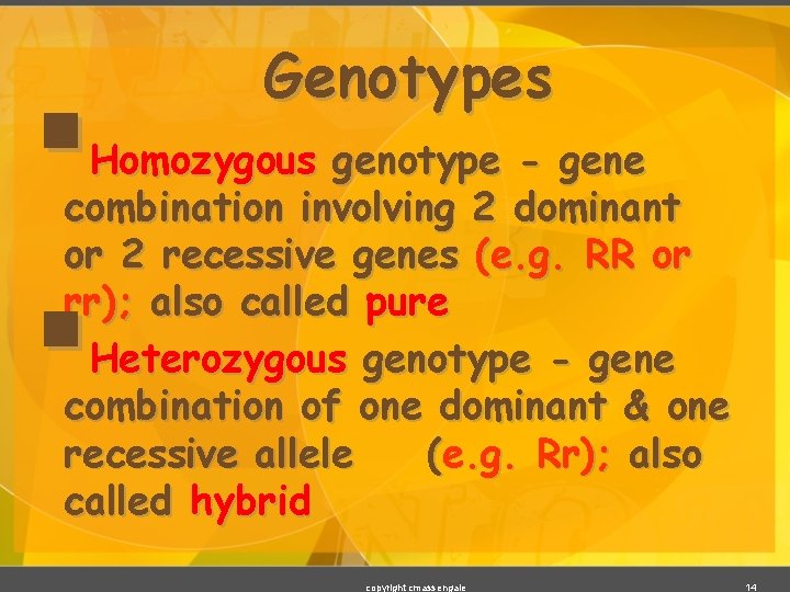 § Genotypes Homozygous genotype - gene combination involving 2 dominant or 2 recessive genes