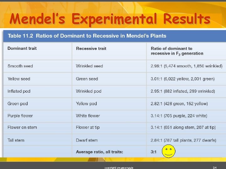 Mendel’s Experimental Results copyright cmassengale 24 