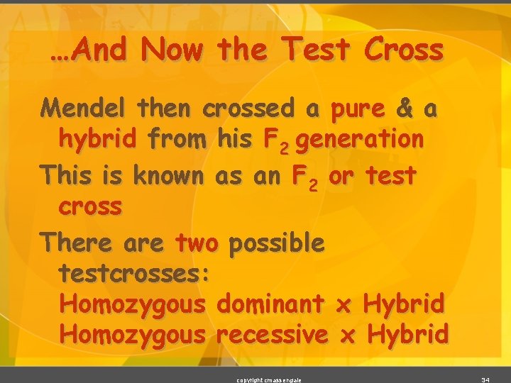 …And Now the Test Cross Mendel then crossed a pure & a hybrid from
