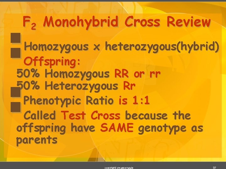 F 2 Monohybrid Cross Review §§ §§ Homozygous x heterozygous(hybrid) Offspring: 50% Homozygous RR