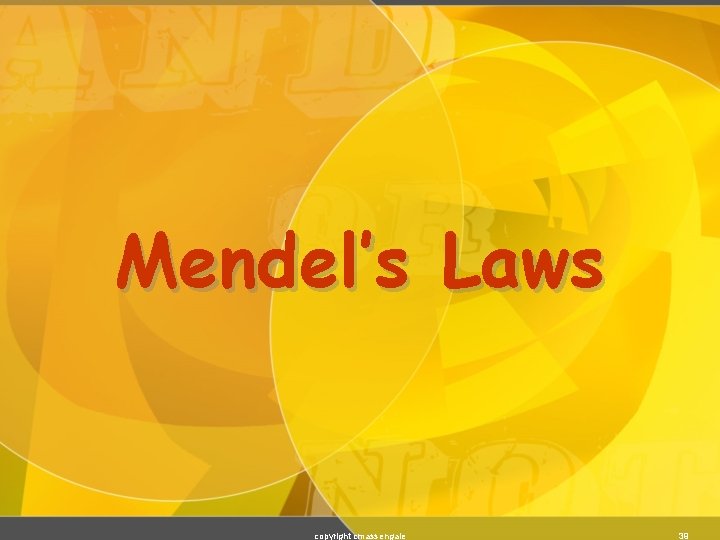 Mendel’s Laws copyright cmassengale 39 