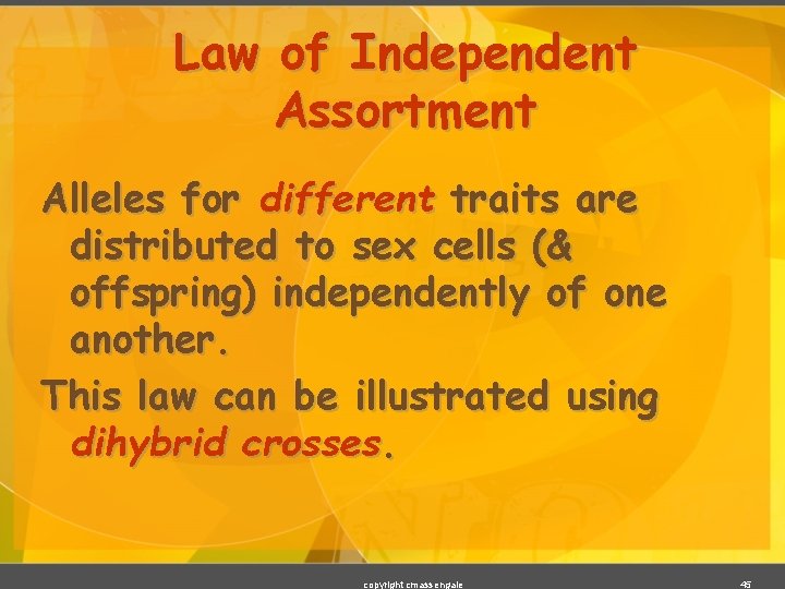 Law of Independent Assortment Alleles for different traits are distributed to sex cells (&