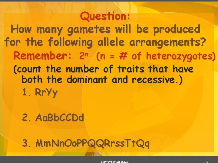 Question: How many gametes will be produced for the following allele arrangements? Remember: 2