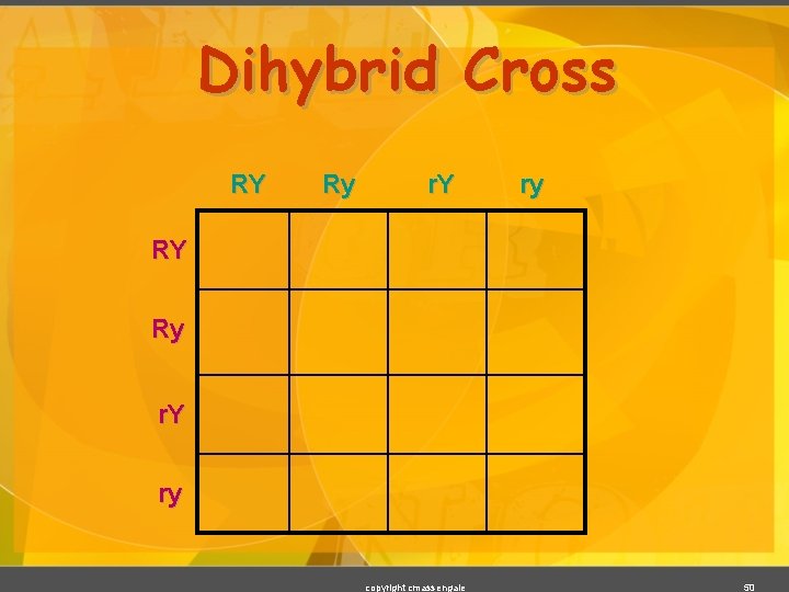 Dihybrid Cross RY Ry r. Y ry copyright cmassengale 50 