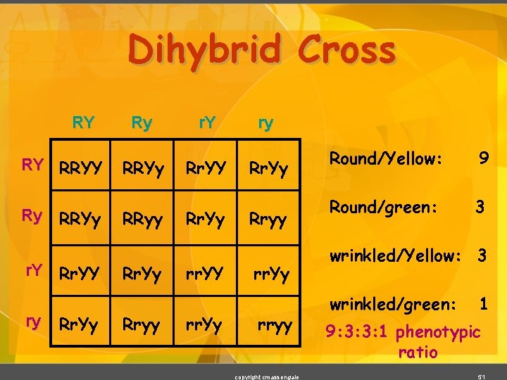 Dihybrid Cross RY RY RRYY Ry RRYy r. Y Rr. YY ry Rr. Yy