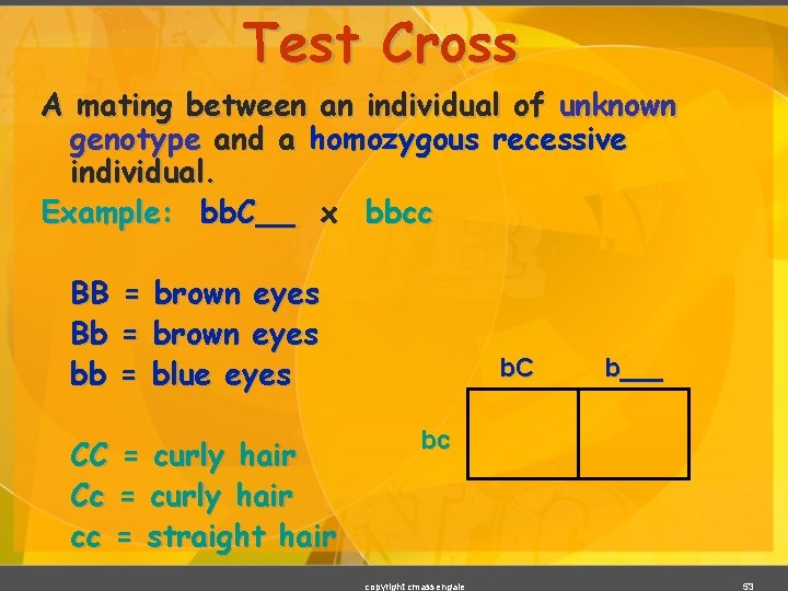 Test Cross A mating between an individual of unknown genotype and a homozygous recessive