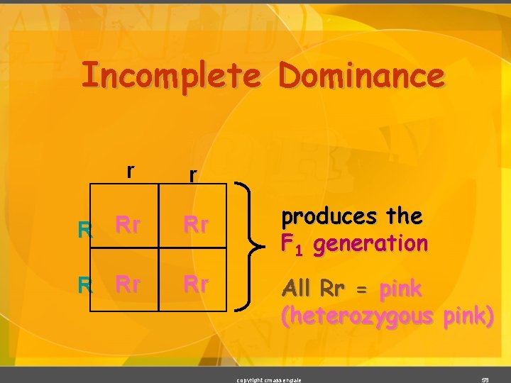 Incomplete Dominance r r R Rr Rr produces the F 1 generation All Rr