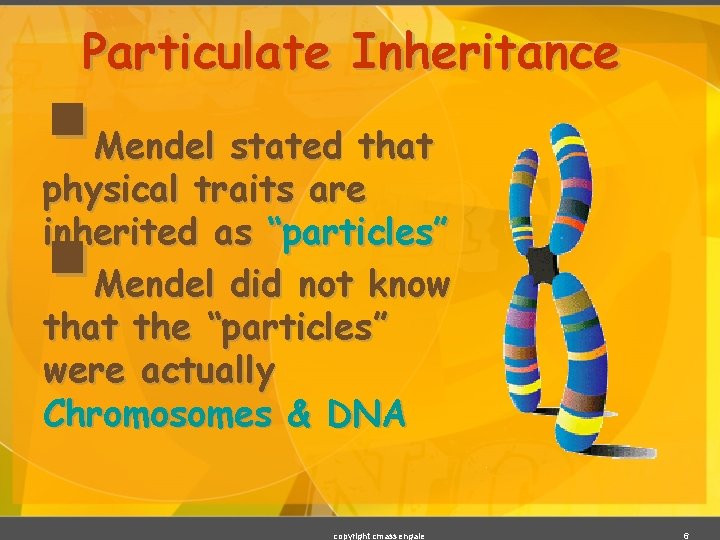 Particulate Inheritance § § Mendel stated that physical traits are inherited as “particles” Mendel