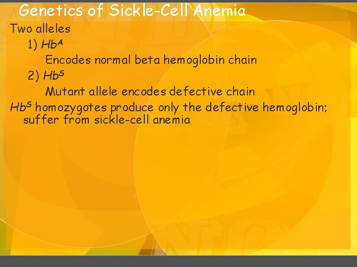 Genetics of Sickle-Cell Anemia Two alleles 1) Hb. A Encodes normal beta hemoglobin chain