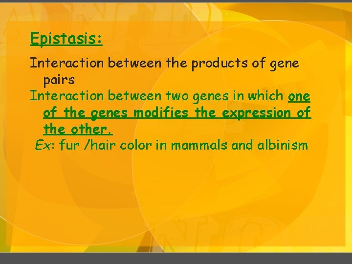 Epistasis: Interaction between the products of gene pairs Interaction between two genes in which