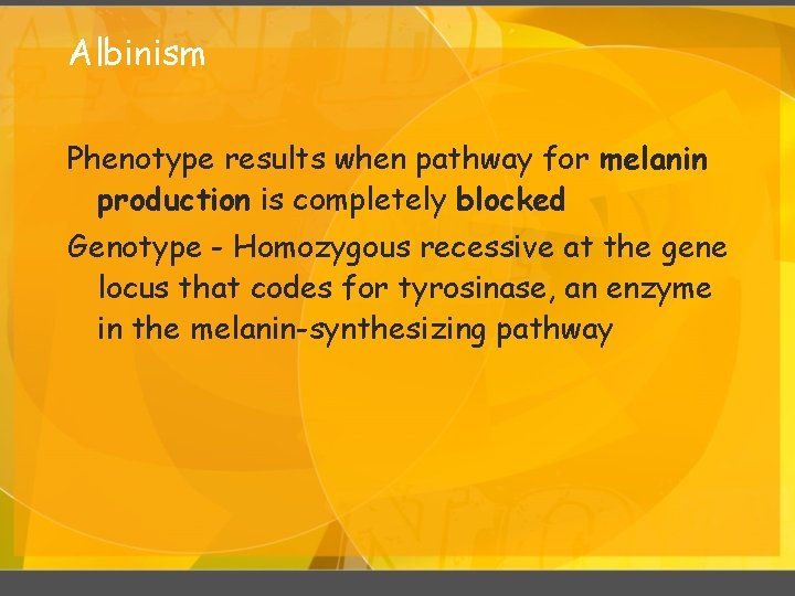 Albinism Phenotype results when pathway for melanin production is completely blocked Genotype - Homozygous