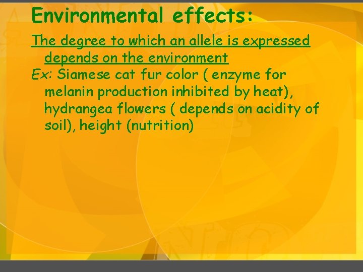 Environmental effects: The degree to which an allele is expressed depends on the environment