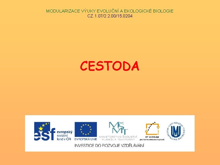 MODULARIZACE VÝUKY EVOLUČNÍ A EKOLOGICKÉ BIOLOGIE CZ. 1. 07/2. 2. 00/15. 0204 CESTODA 