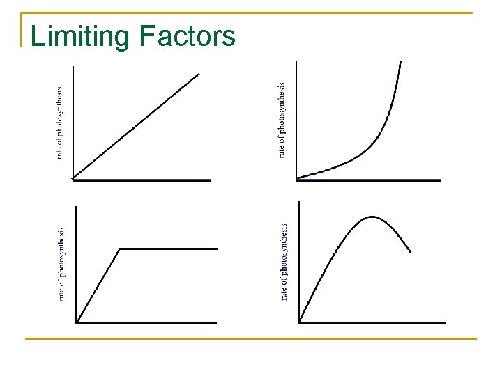 Limiting Factors Limiting Factors