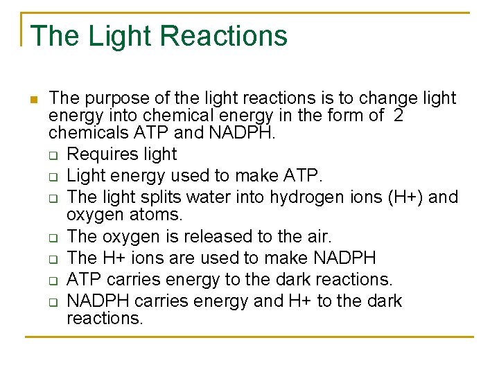 The Light Reactions n The purpose of the light reactions is to change light The Light Reactions n The purpose of the light reactions is to change light