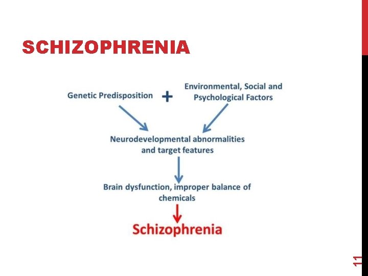 11 SCHIZOPHRENIA 