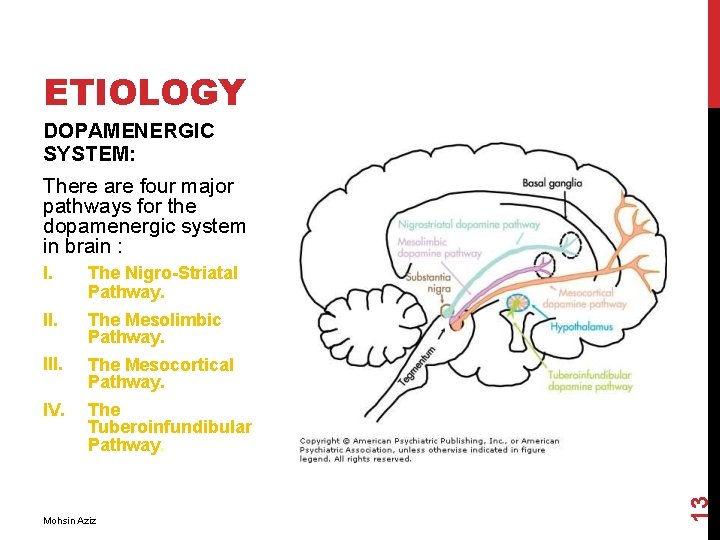 ETIOLOGY DOPAMENERGIC SYSTEM: I. The Nigro-Striatal Pathway. II. The Mesolimbic Pathway. III. The Mesocortical
