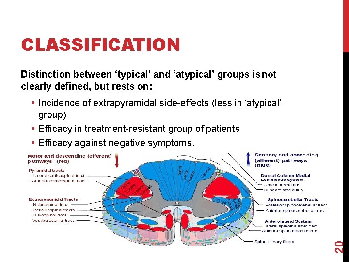 CLASSIFICATION Distinction between ‘typical’ and ‘atypical’ groups is not clearly defined, but rests on: