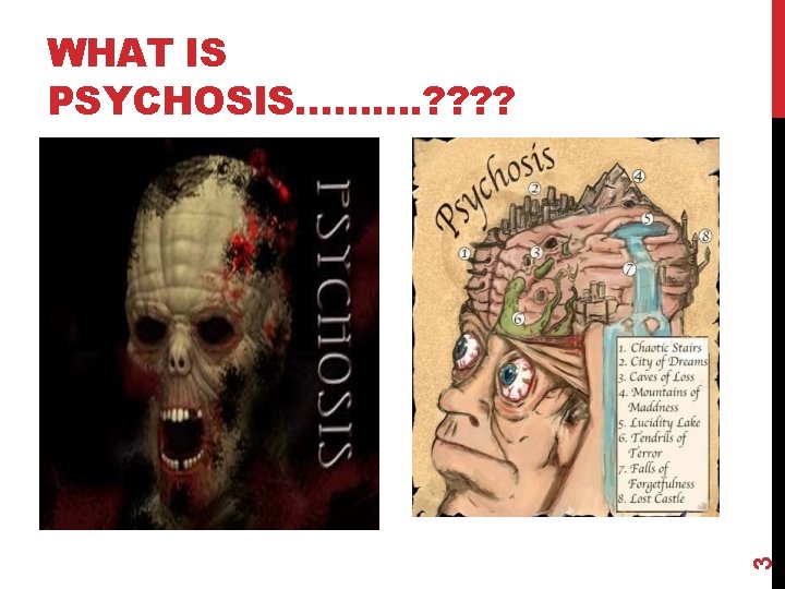 3 WHAT IS PSYCHOSIS………. ? ? 