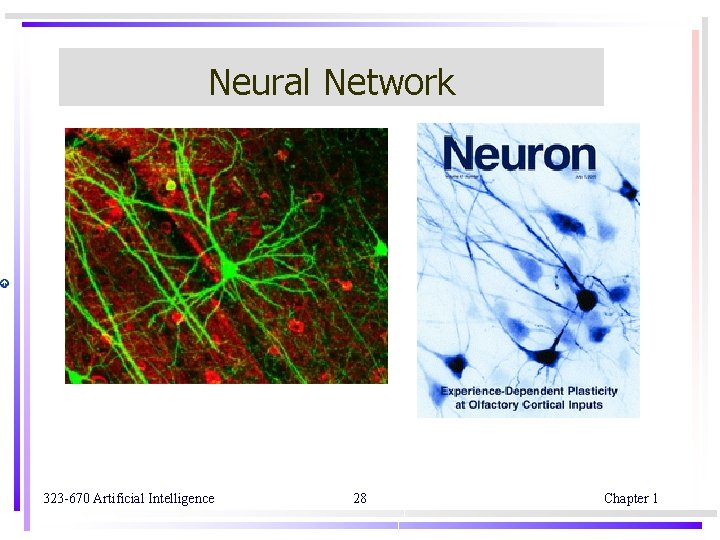 Neural Network 323 -670 Artificial Intelligence 28 Chapter 1 