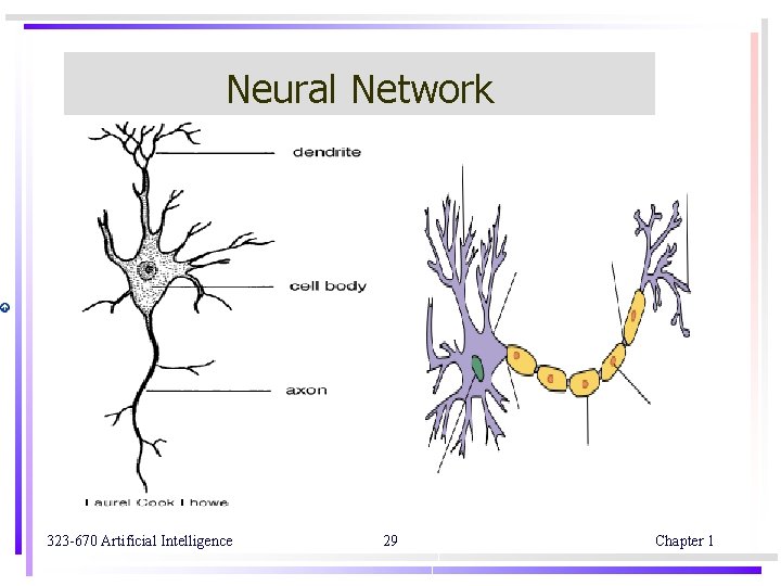 Neural Network 323 -670 Artificial Intelligence 29 Chapter 1 