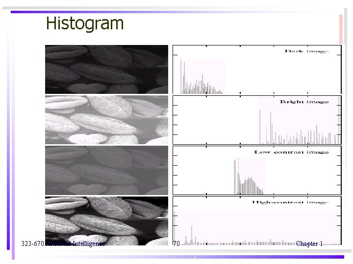 Histogram 323 -670 Artificial Intelligence 70 Chapter 1 