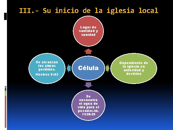 III. - Su inicio de la iglesia local Lugar de santidad y sanidad Se