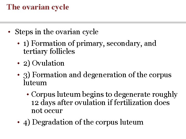 The ovarian cycle • Steps in the ovarian cycle • 1) Formation of primary, The ovarian cycle • Steps in the ovarian cycle • 1) Formation of primary,