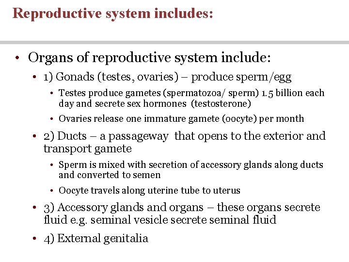 Anatomy Physiology SIXTH EDITION Lecture 28 The Reproductive