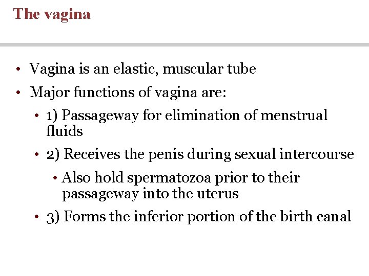 The vagina • Vagina is an elastic, muscular tube • Major functions of vagina The vagina • Vagina is an elastic, muscular tube • Major functions of vagina