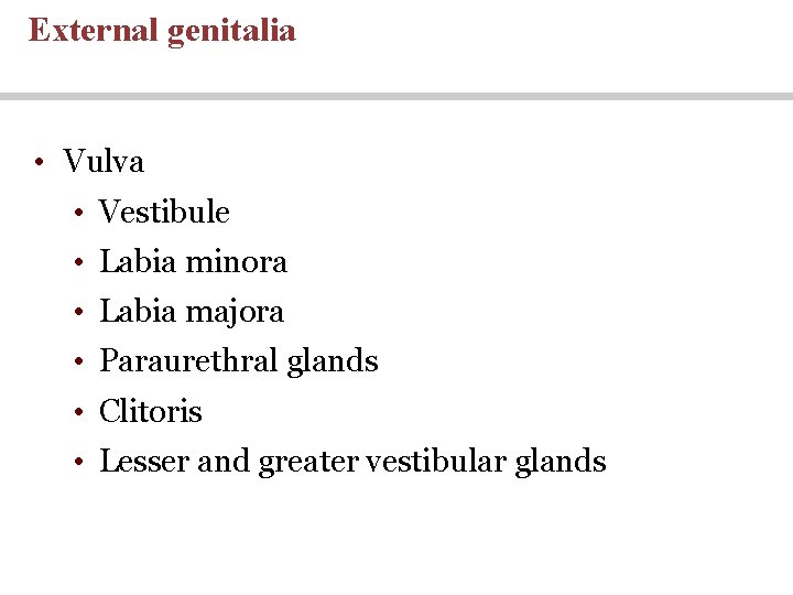 External genitalia • Vulva • Vestibule • Labia minora • Labia majora • Paraurethral External genitalia • Vulva • Vestibule • Labia minora • Labia majora • Paraurethral