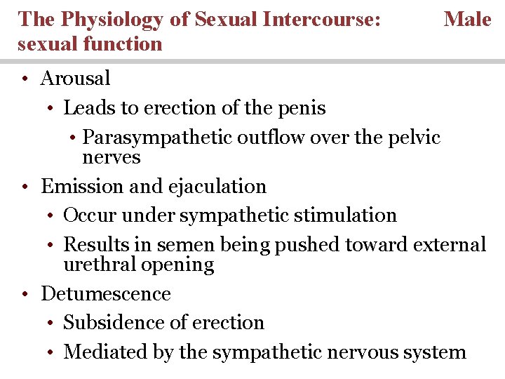The Physiology of Sexual Intercourse: sexual function Male • Arousal • Leads to erection The Physiology of Sexual Intercourse: sexual function Male • Arousal • Leads to erection