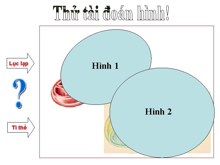 Lục lạp Hình 1 Hình 2 Ti thể 