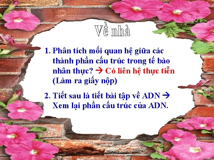 1. Phân tích mối quan hệ giữa các thành phần cấu trúc trong tế