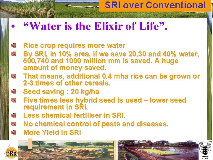 SRI over Conventional • “Water is the Elixir of Life”. Rice crop requires more