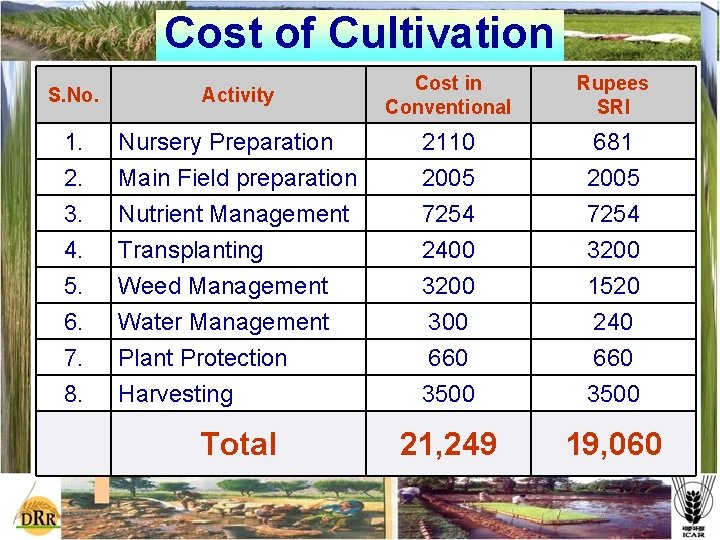 Cost of Cultivation S. No. Activity Cost in Conventional Rupees SRI 1. 2. Nursery