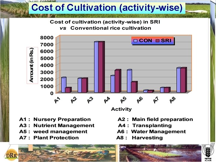 Cost of Cultivation (activity-wise) 