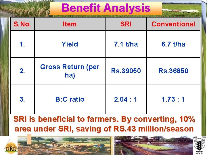 Benefit Analysis S. No. Item SRI Conventional 1. Yield 7. 1 t/ha 6. 7
