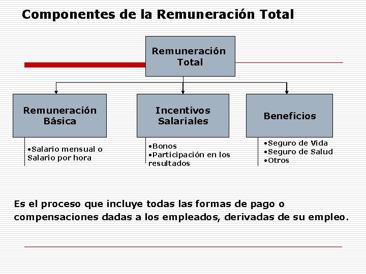 Componentes de la Remuneración Total Remuneración Básica • Salario mensual o Salario por hora