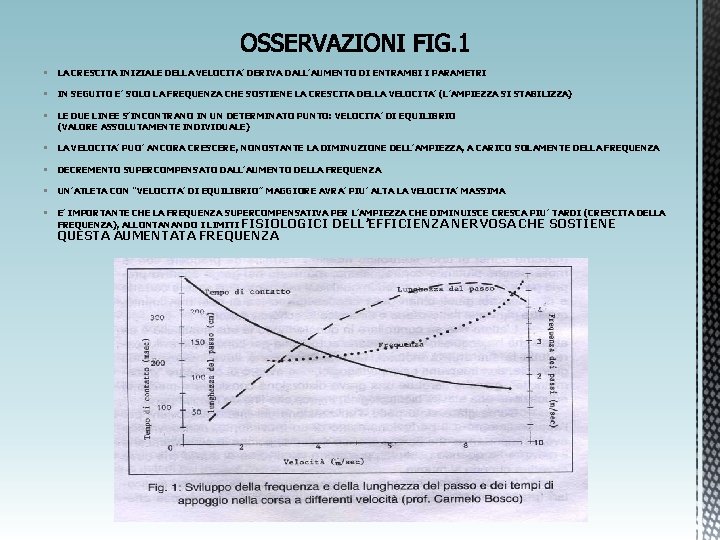 § LA CRESCITA INIZIALE DELLA VELOCITA’ DERIVA DALL’AUMENTO DI ENTRAMBI I PARAMETRI § IN