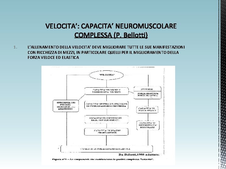 1. L’ALLENAMENTO DELLA VELOCITA’ DEVE MIGLIORARE TUTTE LE SUE MANIFESTAZIONI CON RICCHEZZA DI MEZZI,
